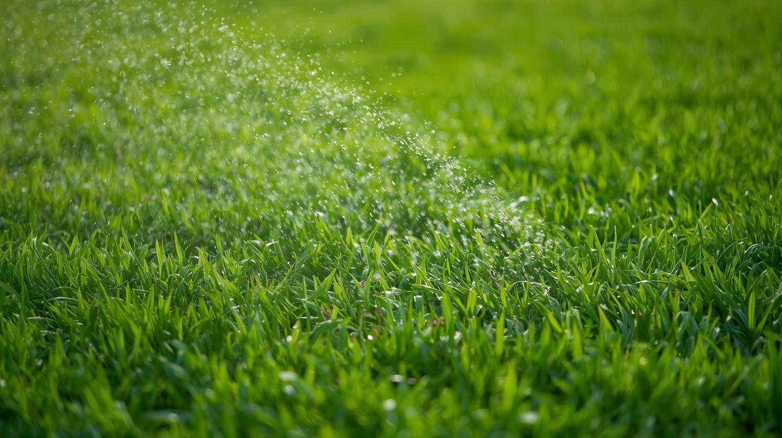 Commercial lawn fertilization